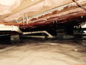 Crawl Space Mold Cleaning