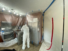 Mold Remediation & Removal